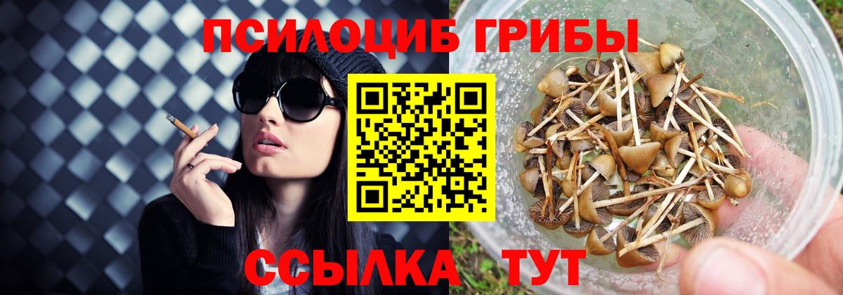 Каспийск  Псилоцибиновые грибы мицелий  Галлюциногенные грибы Cubensis  Вход с VPN 